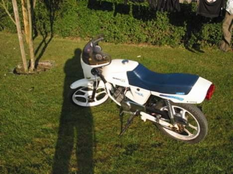 Puch Monza juvel/daytona billede 8