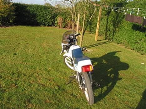 Puch Monza juvel/daytona billede 9