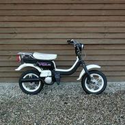 Suzuki Fz50