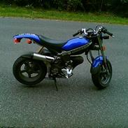 Suzuki Street Magic "BYTTET"