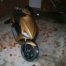 Benelli 491ST (SOLGT)