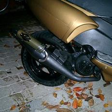 Benelli 491ST (SOLGT)