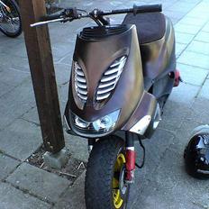 Piaggio Zip/Sr/Nrg