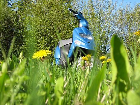 Gilera Stalker Solgt billede 1