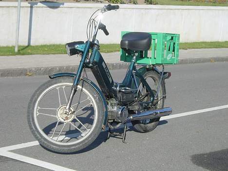 Puch SOLGT *Team LiderHaren*  - Det er så min puch, kører sq godt. billede 1