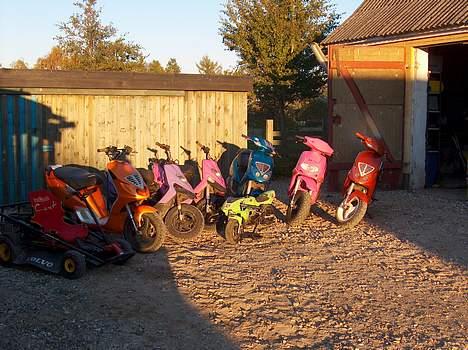 Piaggio Nrg LC billede 7