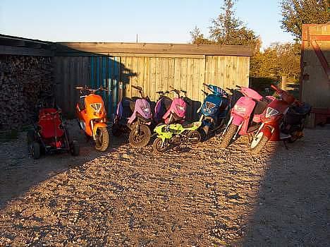 Piaggio NRG MC3 - GEJL billede 11
