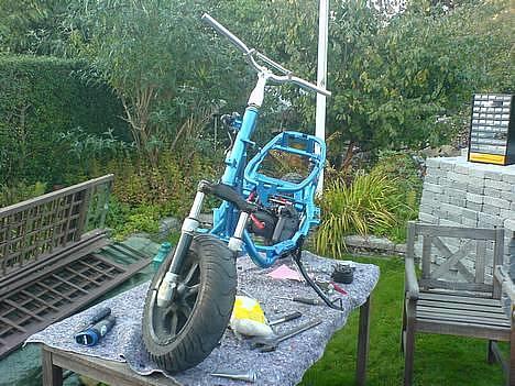 Benelli 491 - Lige da jeg havde malet stelet og samlede den.. billede 10