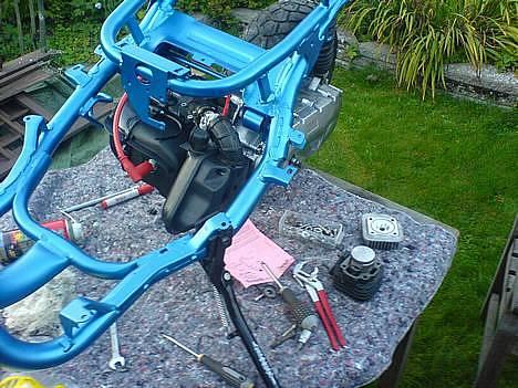 Benelli 491 billede 11