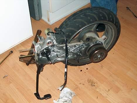 Adly Arriva billede 8