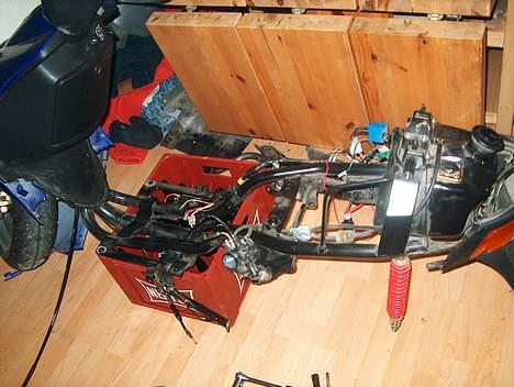 Adly Arriva billede 9