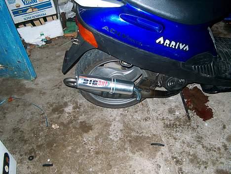 Adly Arriva billede 10