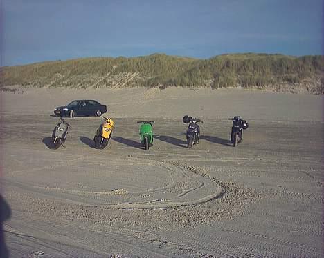 PGO hot50 Før solgt billede 5