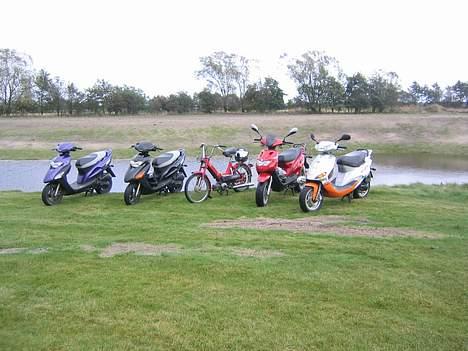 Puch Maxi P billede 13