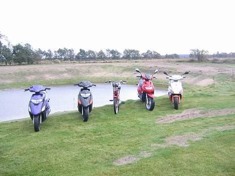Puch Maxi P billede 14
