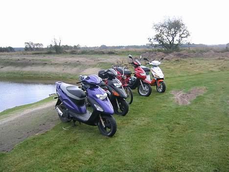 Puch Maxi P billede 15