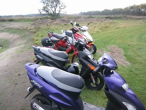 Puch Maxi P billede 16
