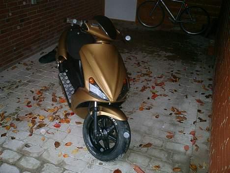 Benelli 491ST (SOLGT) - De hvide pletter er regndråber billede 1