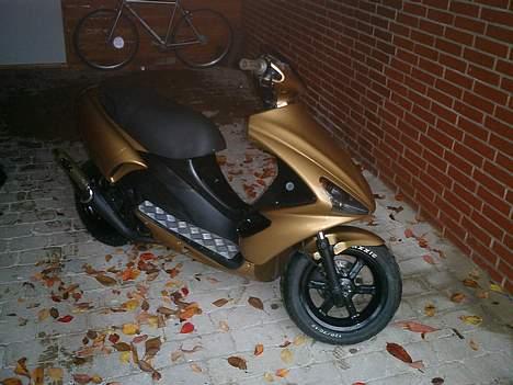 Benelli 491ST (SOLGT) - De hvide pletter er regndråber billede 2