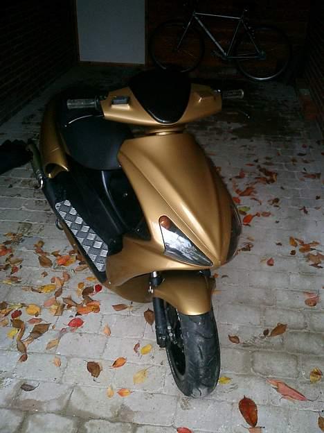 Benelli 491ST (SOLGT) billede 4