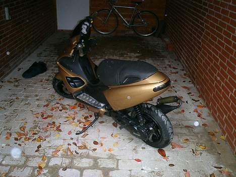 Benelli 491ST (SOLGT) - De hvide pletter er regndråber billede 5