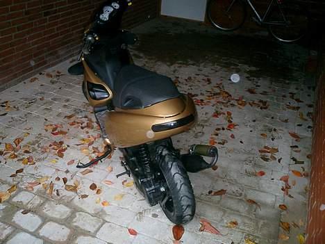 Benelli 491ST (SOLGT) - De hvide pletter er regndråber billede 6