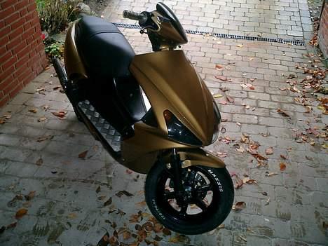 Benelli 491ST (SOLGT) billede 8