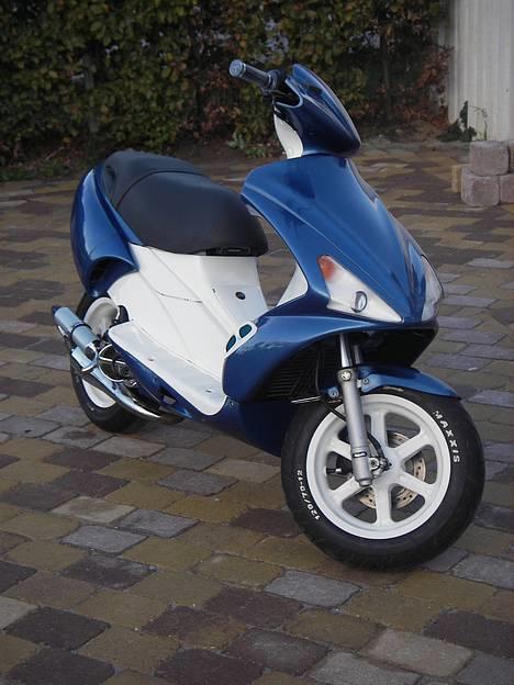 Benelli 491 billede 2