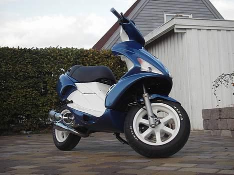 Benelli 491 billede 3