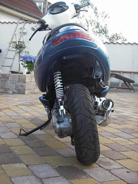 Benelli 491 billede 5