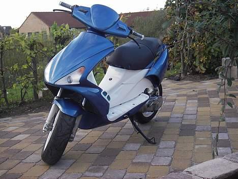 Benelli 491 billede 7