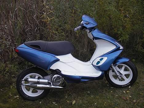 Benelli 491 billede 10