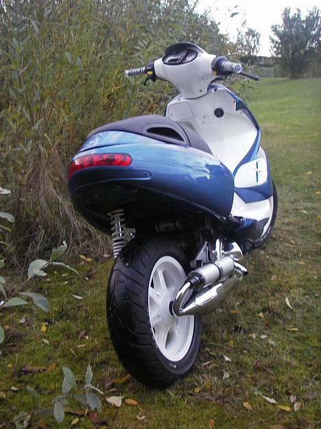 Benelli 491 billede 11