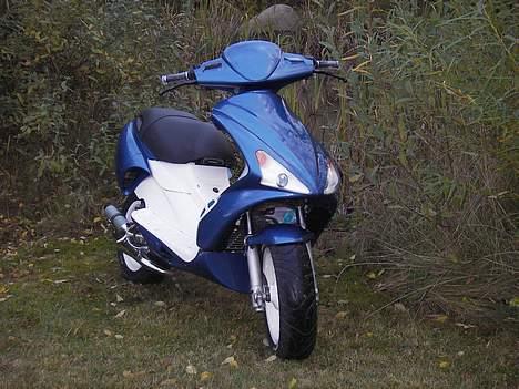 Benelli 491 billede 12