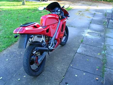 Cagiva Mito - Ducati røv:p uden plade.. hovsa.. billede 6