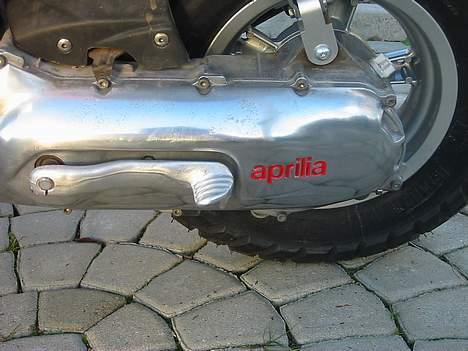 Aprilia rally  billede 7