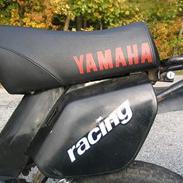Yamaha Sting SG50