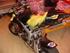 MiniBike ((Byttet til melody))
