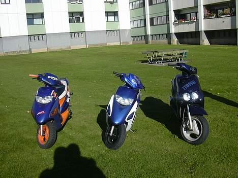Honda Sfx (Solgt) - Oggy´s Min Mugdo´s billede 12