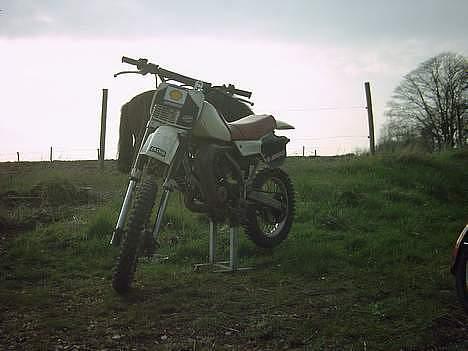 Yamaha yz 80  LC billede 19