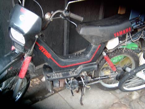 Yamaha Sting billede 1