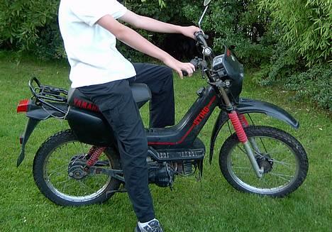 Yamaha Sting billede 2