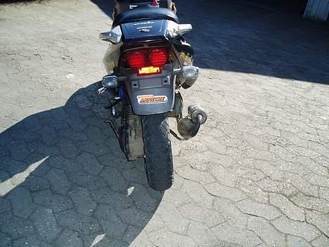 PGO Dr.big- solgt billede 5