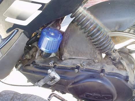 PGO Dr.big- solgt billede 6