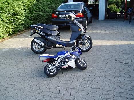 PGO Dr.big- solgt billede 8