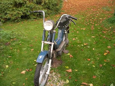 Vespa piaggio si montecarlo billede 5