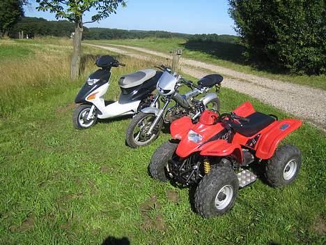 Sachs MadAss (BYTTET) billede 14