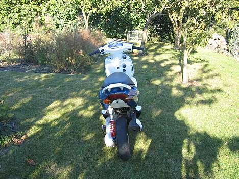 Aprilia Sonic SOLGT  billede 3