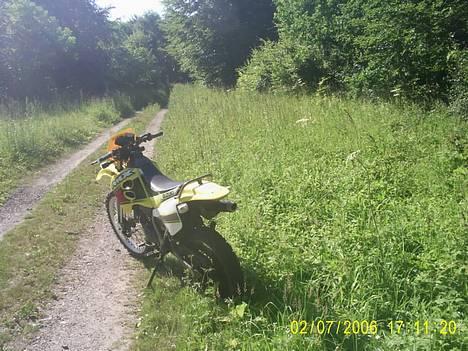 Suzuki RMX billede 6