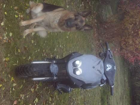 PGO pmx sport solgt billede 10